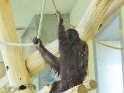 Tiergarten Schönbrunn am 12.03.2025